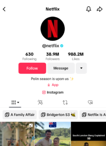 Netflix TikTok page